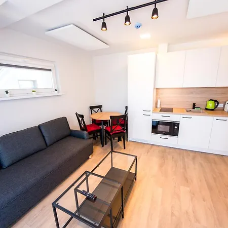 Saulelydzio Apartamentai Kunigiskese
